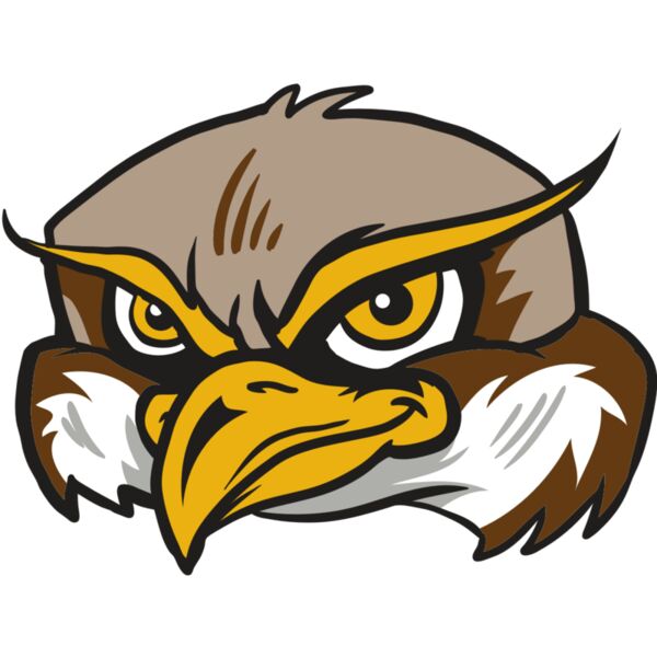 AR12 OWL 02 RQC Thumbnail